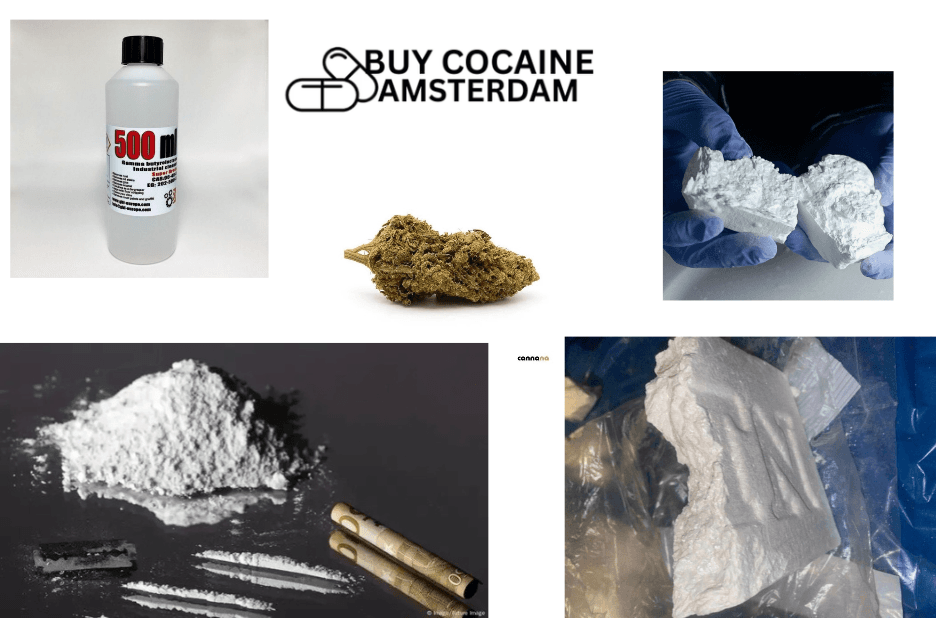 Practical Guide to Buying Cocaine Safely in Amsterdam