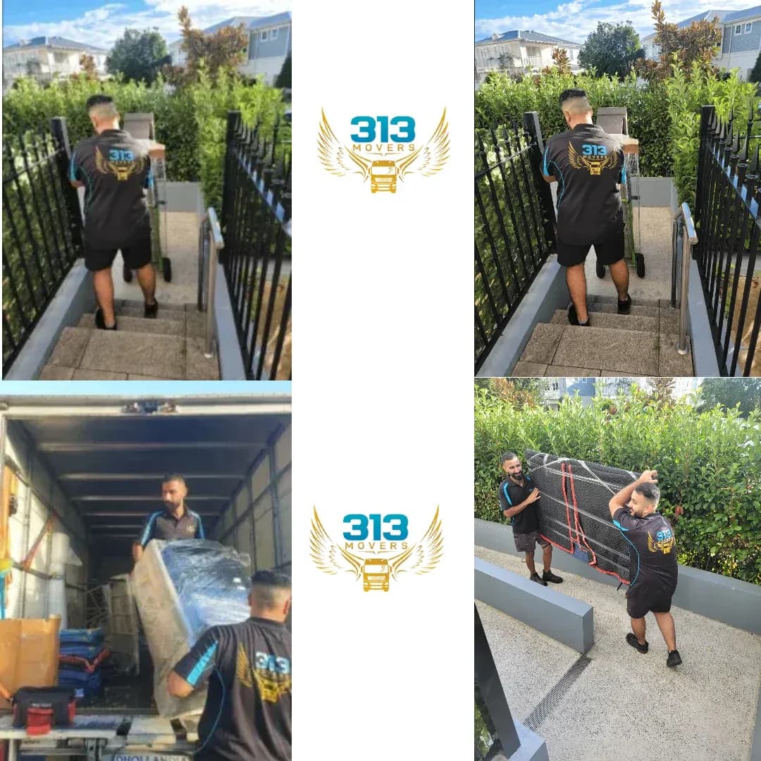 Office Movers Adelaide: Reliable Workplace Relocation by 313movers.com.au