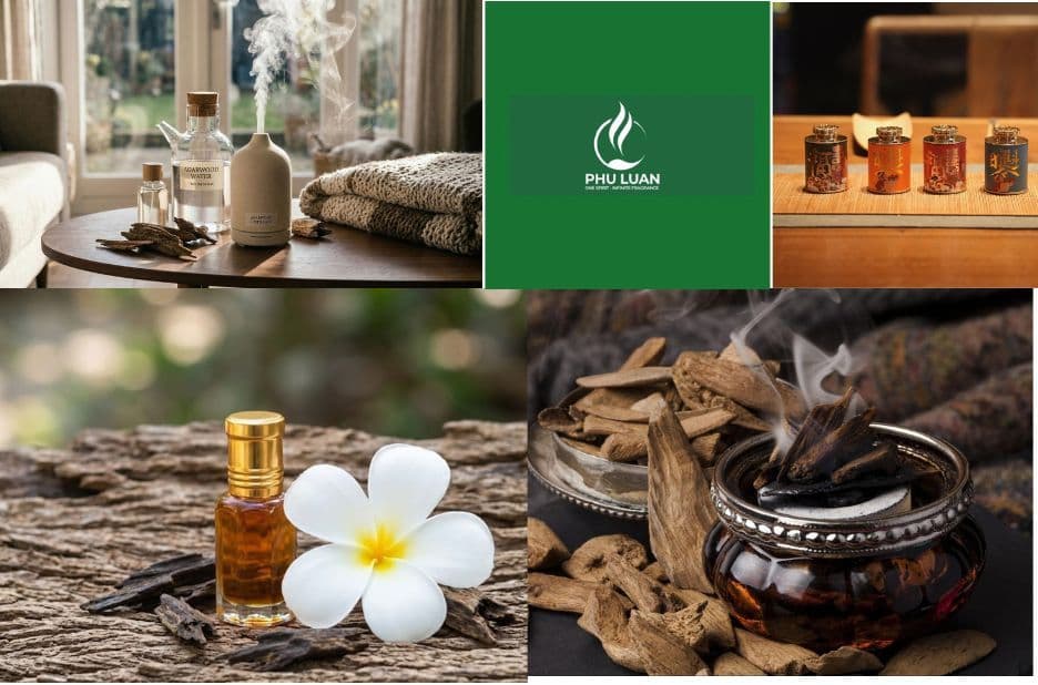 Discover Premium Agarwood Tea from Phu Luan Group