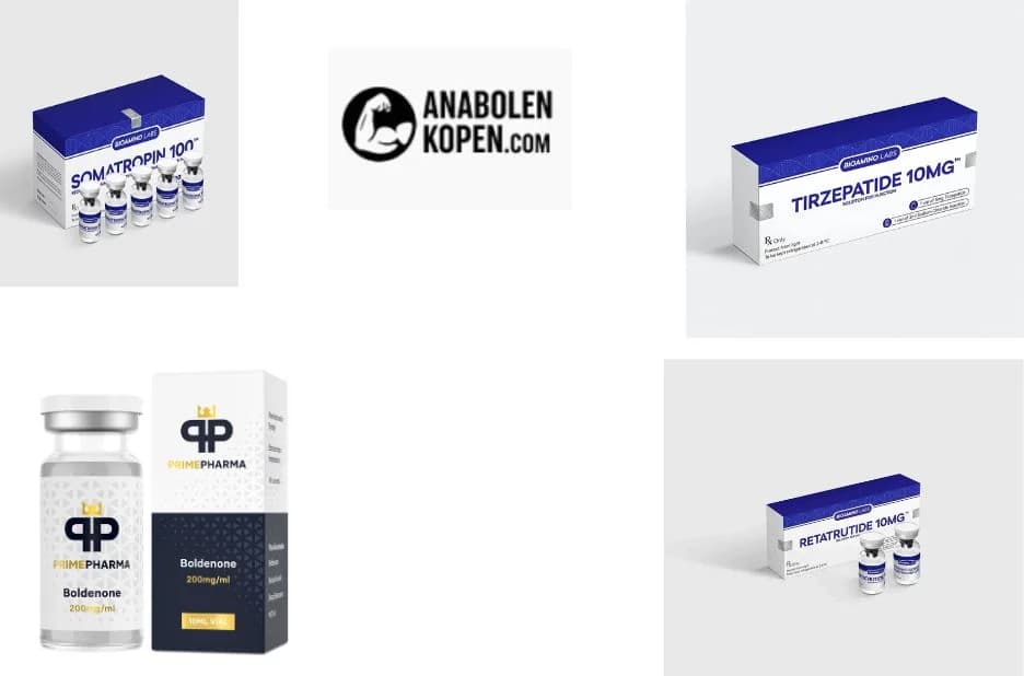Anabolen Kopen Guide: Safe and Effective Anabolics for Enhanced Bodybuilding Performance