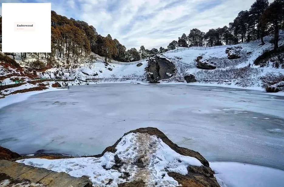 How to Find the Perfect Cozy Cabins in Jibhi for a Relaxing Mountain Escape