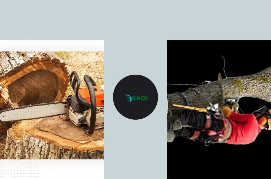 Effective Stump Removal Laverton Services for Pristine Yards and Landscapes