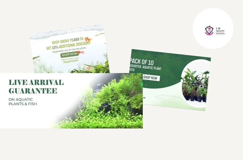 Order Aquatic Plants Online for a Thriving Underwater Garden