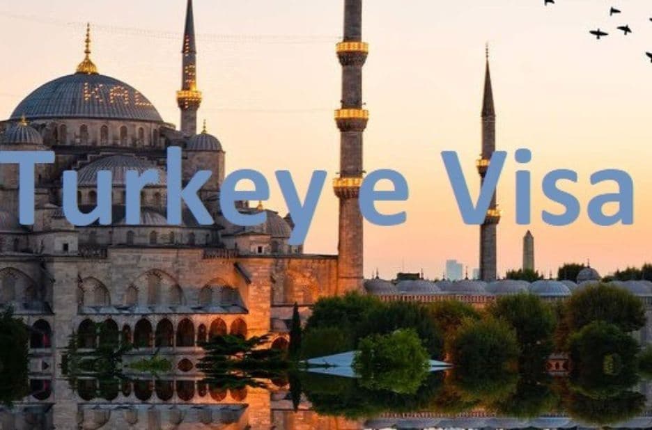 Turkey Visa for Pakistani Citizens: Compare Application Options with turkey-evisa-gov.org