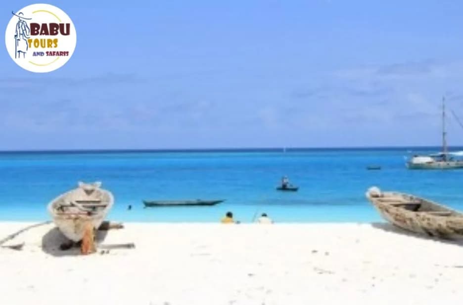 Best Tanzania Safari Packages for Unforgettable Wildlife and Cultural Adventures