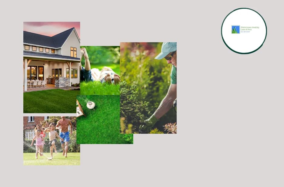 Expert Lawn Aeration Services in San Antonio for Healthier, Greener Turf