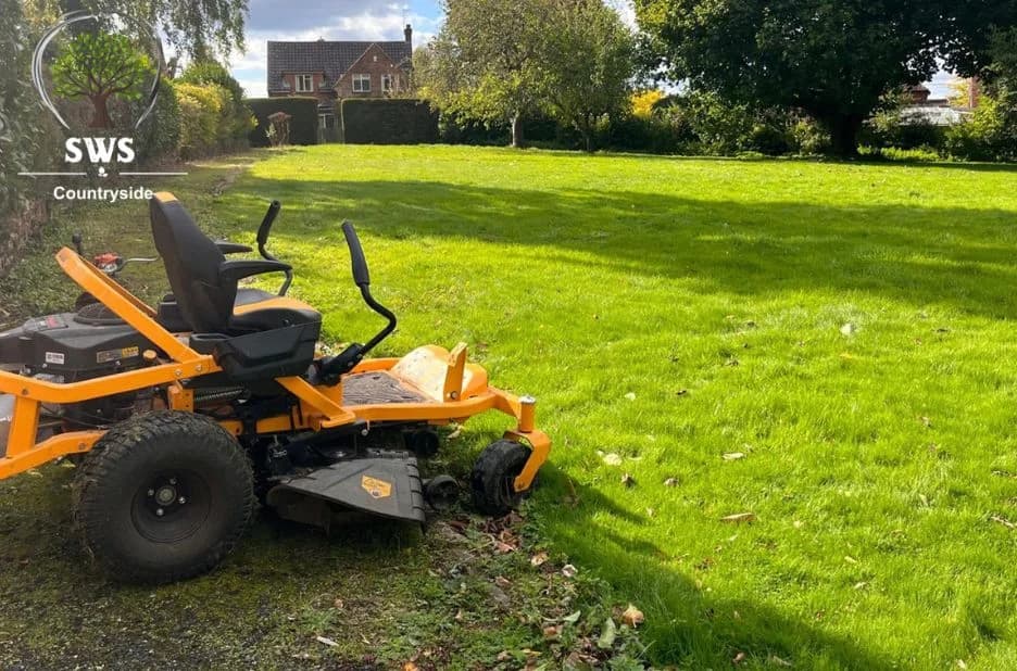 Professional Hedge Trimming Services in Maidstone Kent for Beautiful, Healthy Gardens