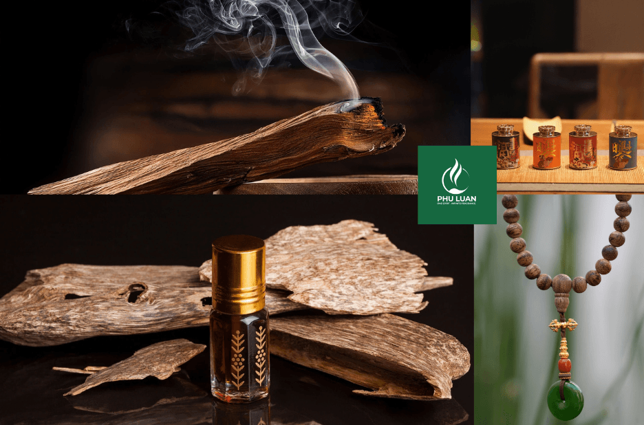 How to Choose a Premium Agarwood Oil Supplier Online
