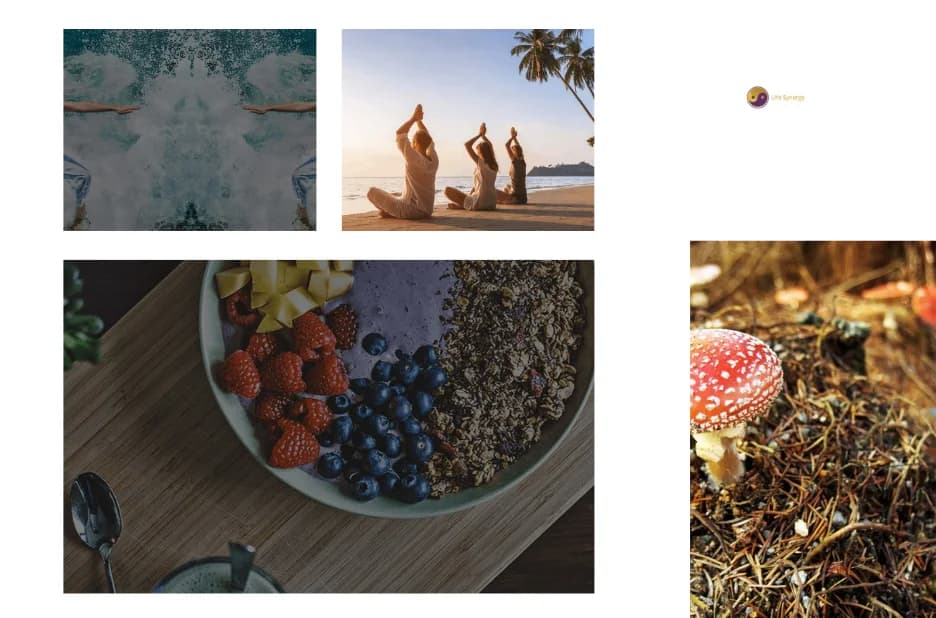 Ultimate Guide to Wellness and Healing Retreats Mexico for Mind and Body Renewal