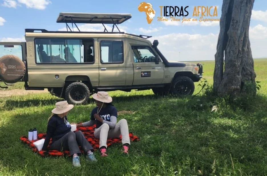Ultimate Guide to an Unforgettable Kenya Wildlife Safari Adventure