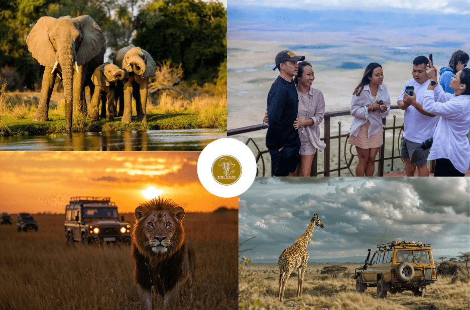 Plan a Buyer-Ready Tanzania Safari Tour Guidebook