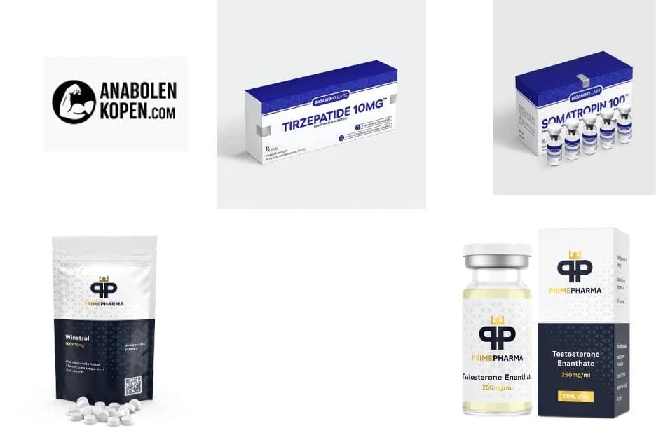 How to Safely Purchase Winstrol and Avoid Common Risks for Effective Muscle Gain