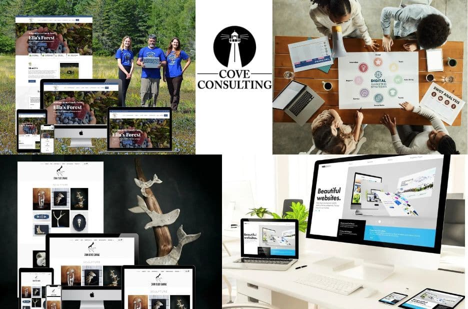 Choosing the Right Website Partner on Prince Edward Island