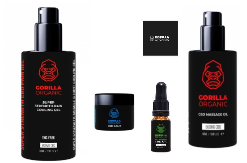 How CBD Supports Recovery After Training Naturally