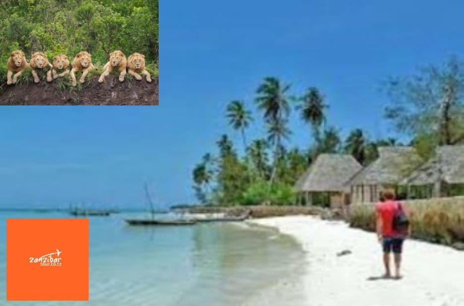 Jozani Forest Tour Zanzibar: A Practical Guide to Unique Wildlife and Nature Trails