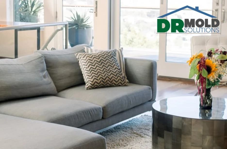 Essential Air Purification and Mold Prevention Steps for a Safer Indoor Environment