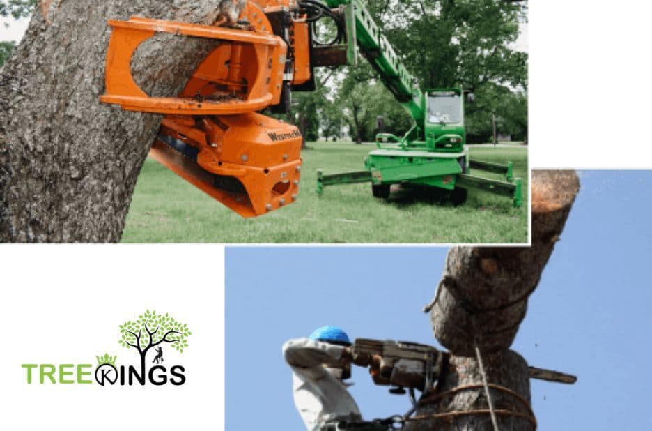 Trusted Tree Removal Preston Services for Reliable, Clean Results by Tree Kings