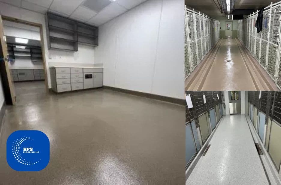Kenel Floor Upgrade Checklist for Clean, Durable Floors