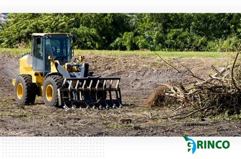 Tree Removal Werribee: Key Benefits of Safe, Fast Stump and Branch Removal