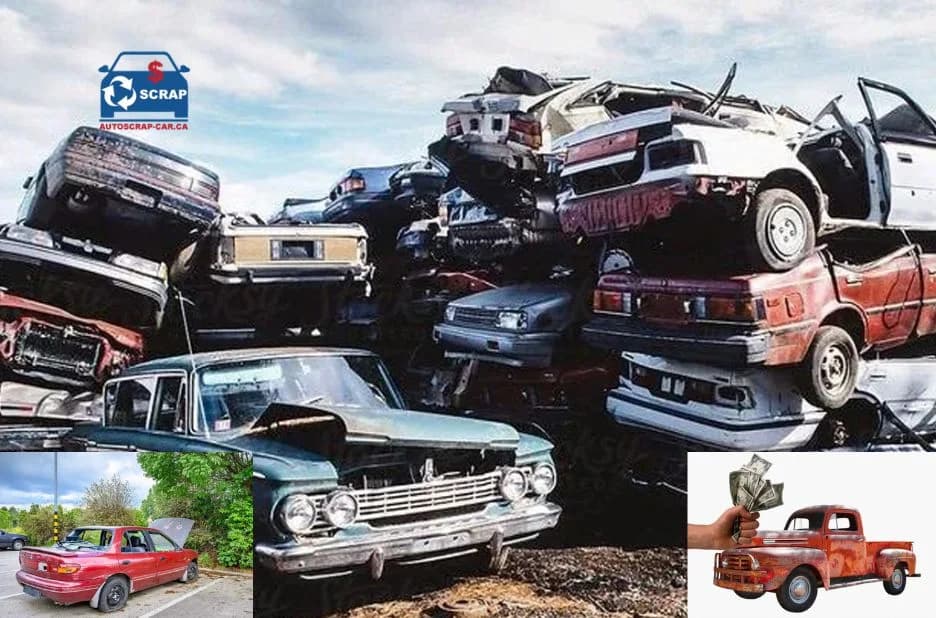 Top Expert Tips for Choosing Reliable Scrap Removal Services in Montreal