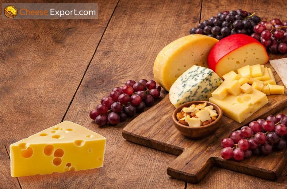 Reliable Bulk Mozzarella Cheese Supplier for Global Wholesalers | Cheeseexport.com