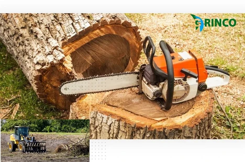 Trusted Stump Removal Services in Laverton for Lasting Yard Cleanup and Safety
