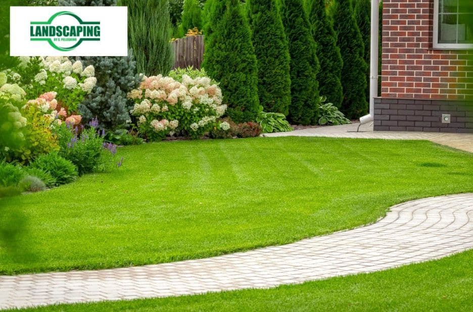 Landscape Design in Suffolk County: Patios, Walkways, and Retaining Wall Checklist