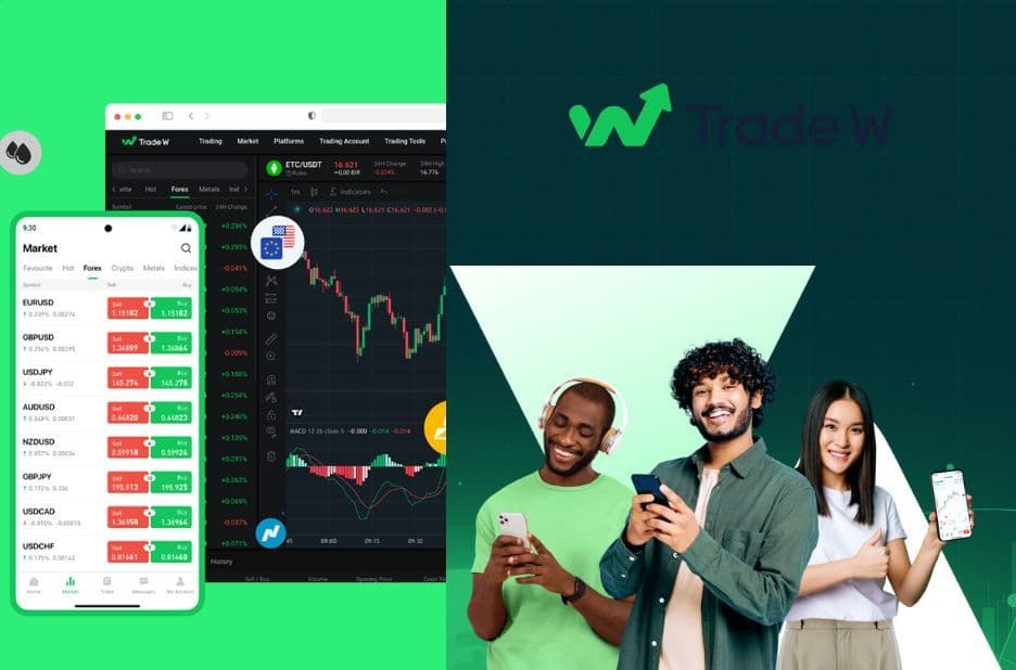How Forex Trading Works: Key Steps, Tools, and Practical Benefits at Tradewill