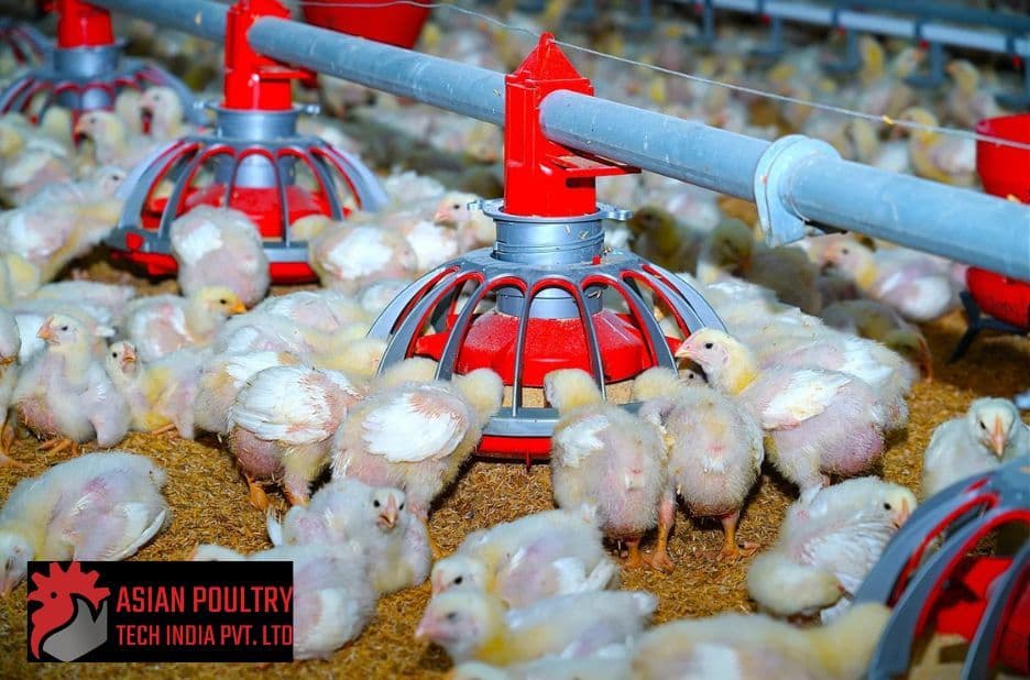 Poultry Equipment Hyderabad Checklist for Efficient Ventilation Systems by Asian Poultry Tech