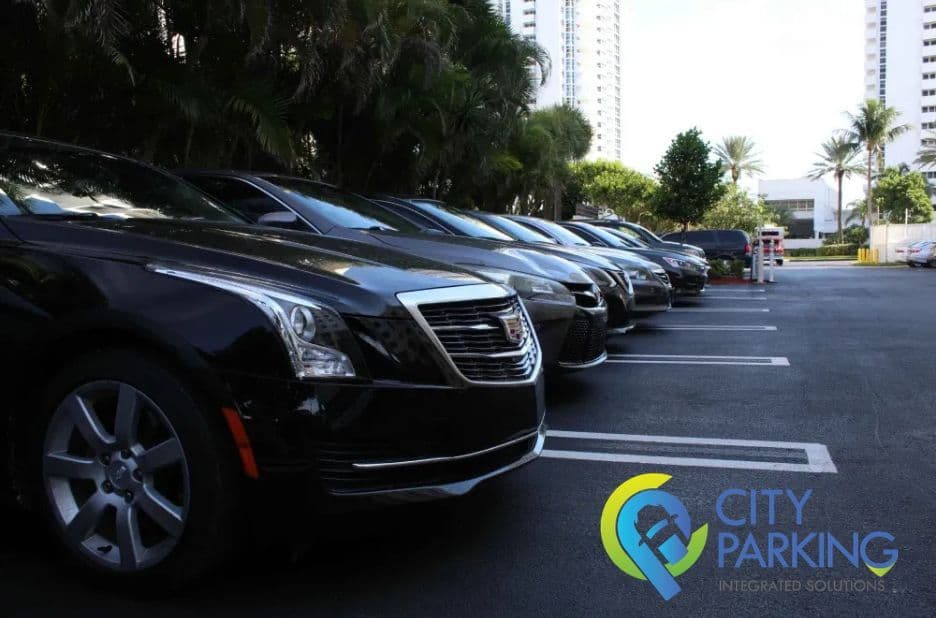 Smart Parking Management System Cairo: Improve Traffic Flow and Parking Access