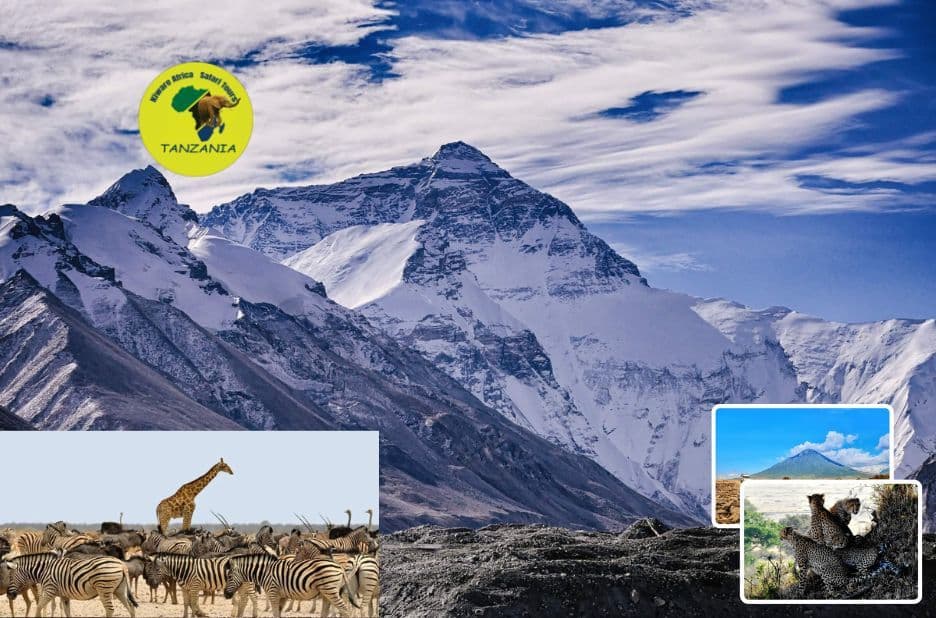 Serengeti Migration Safari Packages by Kiware Africa Safaris for Trusted Wildlife Encounters
