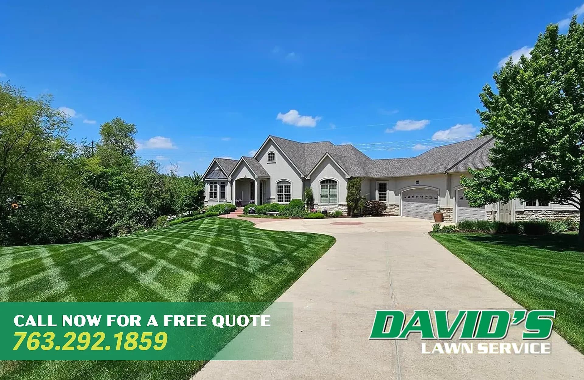 Need Landscaping Help Near Me? Solve Common Yard Problems