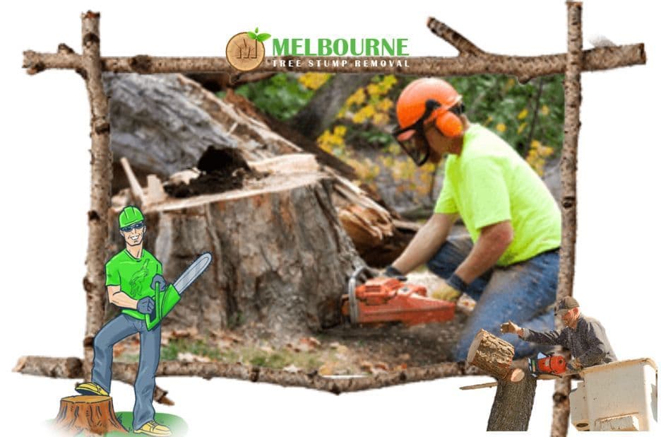 Stump Removal Caroline Springs: Practical Grinding and Removal for Clean Yards