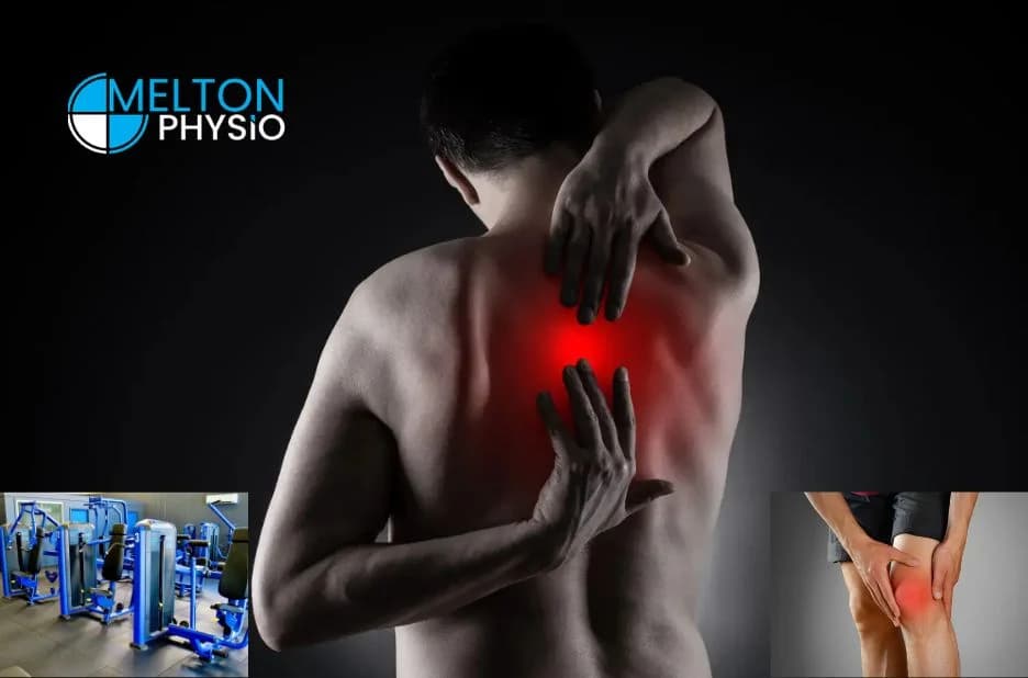 Expert Physio Near Me Melton Delivering Personalized Care and Lasting Mobility Solutions