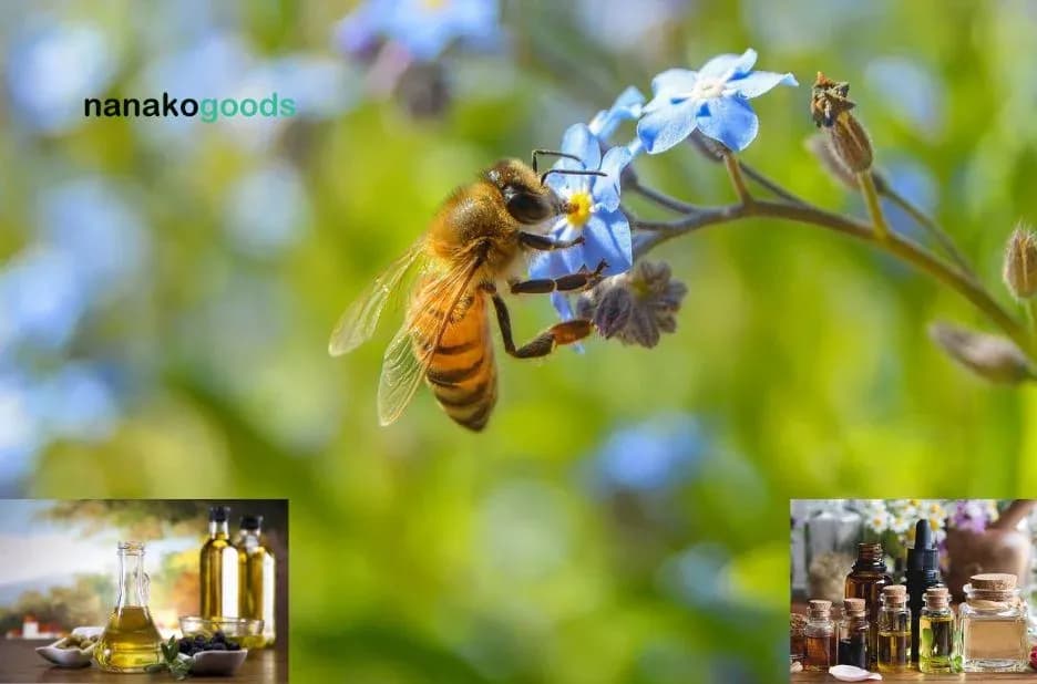 Essential Checklist for Choosing Unique Ozonated Oils in the USA for Quality and Purity
