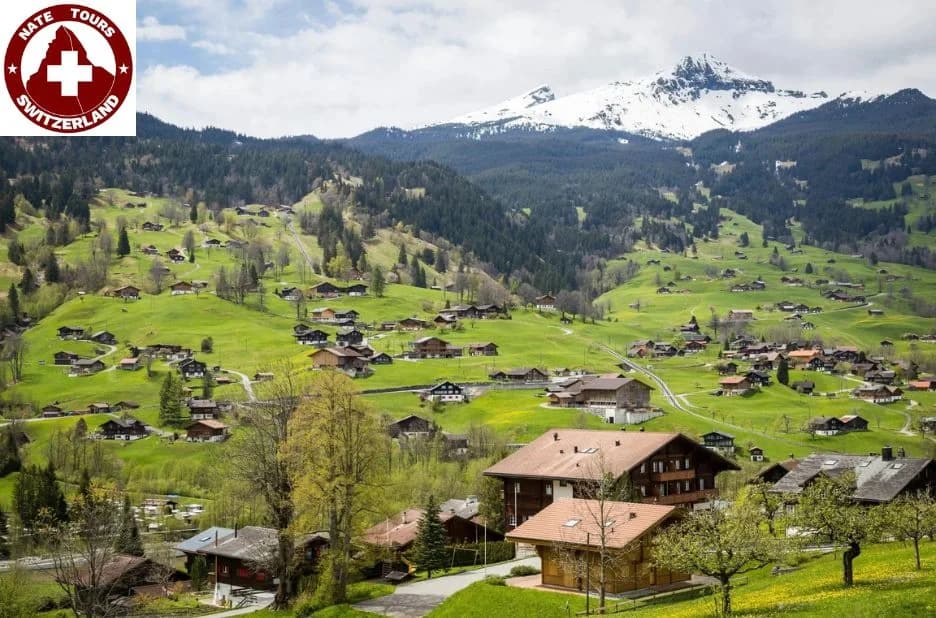 Ultimate Guide to Jungfrau Tours from Zurich for Scenic Swiss Adventures