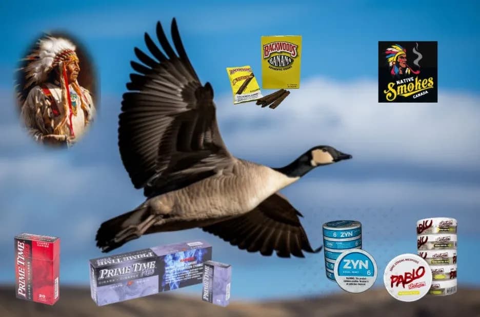 Shop Dumont Cigarettes Canada: Trusted Selection and Online Ordering