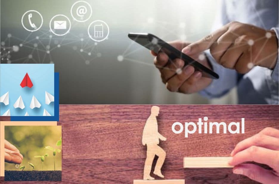 How Hogan Assessment Tools Help Predict Performance and Improve Workplace Productivity