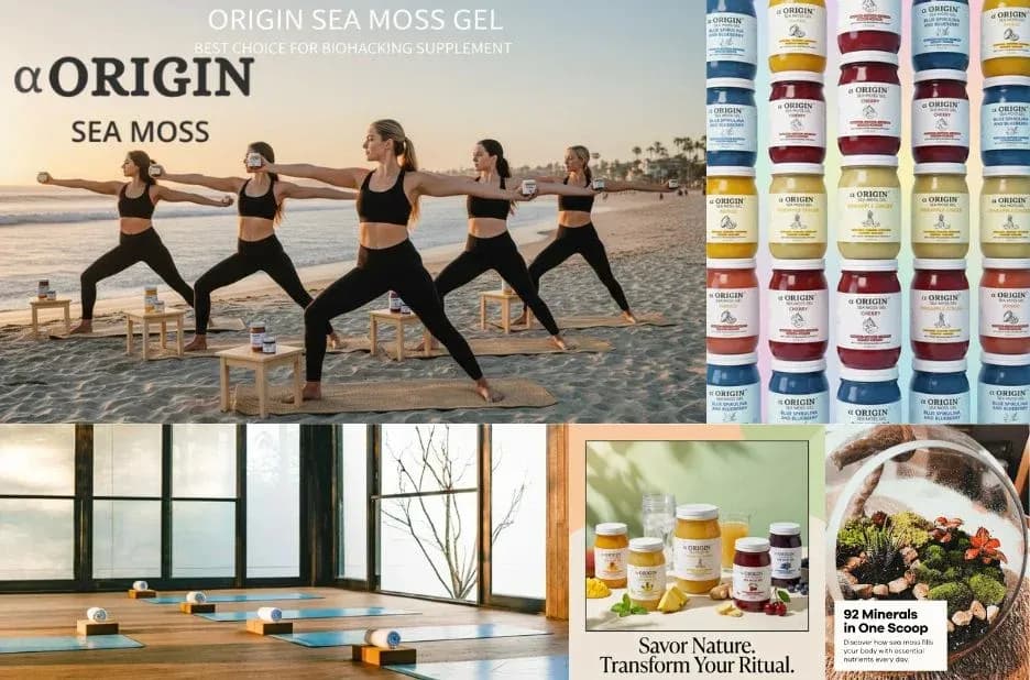 Origin Sea Moss: Daily Wellness Benefits for Energy, Gut Health, and Immunity