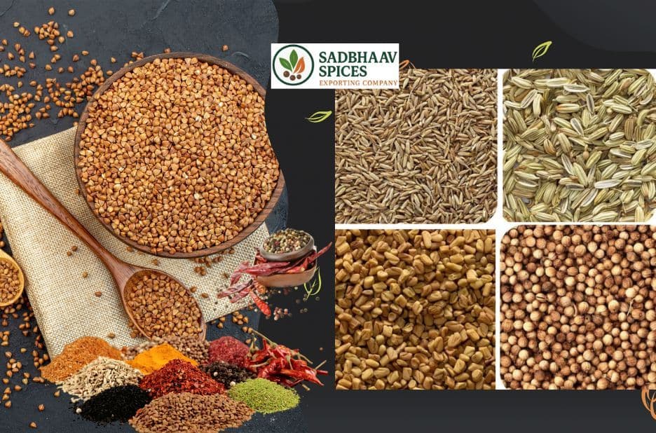 Cumin Seeds Exporter India: Reliable Export-Grade Supply by Sadbhaav Global Impexx LLP