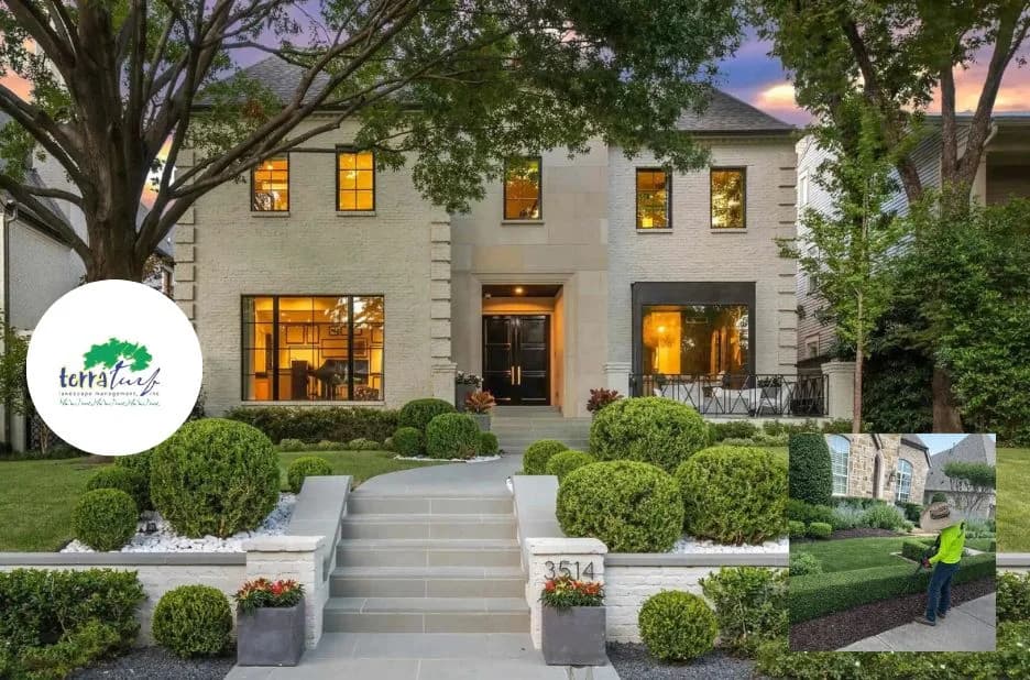 Insider Tips for Exceptional Landscape Design in Plano from Terra Turf Landscape Experts