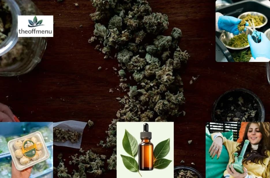 Affordable Cannabis in Canada: How to Find Quality Cheap Cannabis Deals