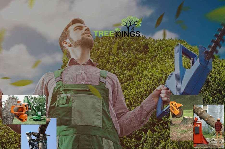Tree Removal Lalor: Restore Safety and Prevent Property Damage with Expert Care